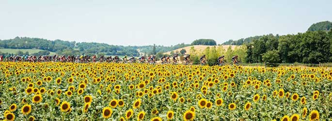 Tour de France 2016 : Parcours et Histoire !