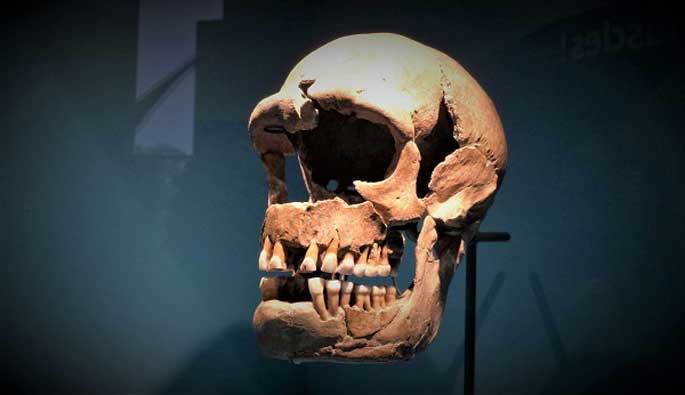 Néandertal : l'expo au Musée de l'Homme jusqu'au 7 janvier 2019