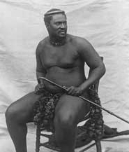 Cetshwayo en 1878