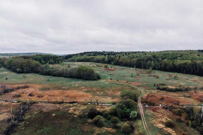 Les restes de la bataille de Smolensk refont surface