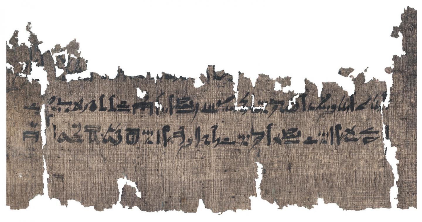 Traduction d'un exceptionnel papyrus médical égyptien