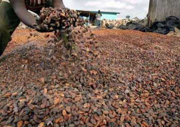 La Côte d'Ivoire, premier producteur mondial de cacao.