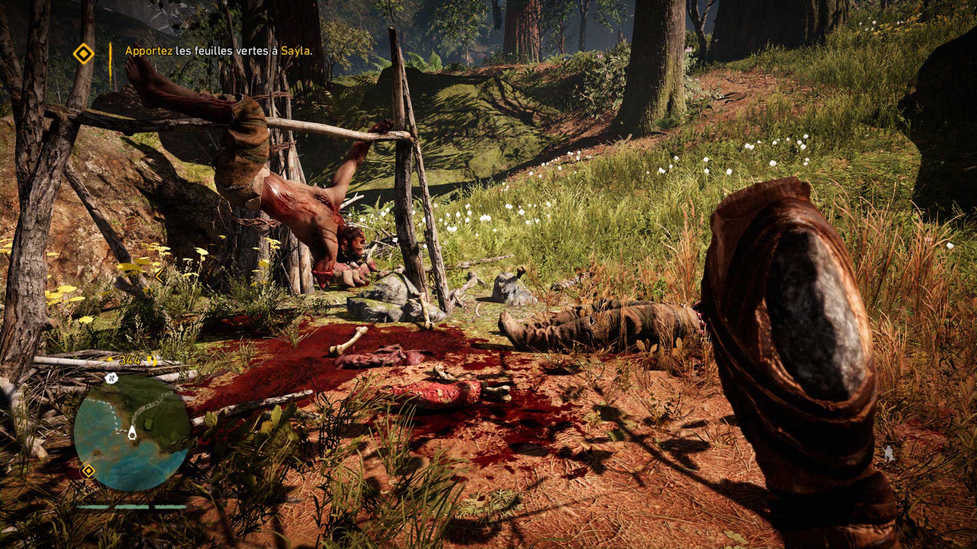 Test de Far Cry Primal